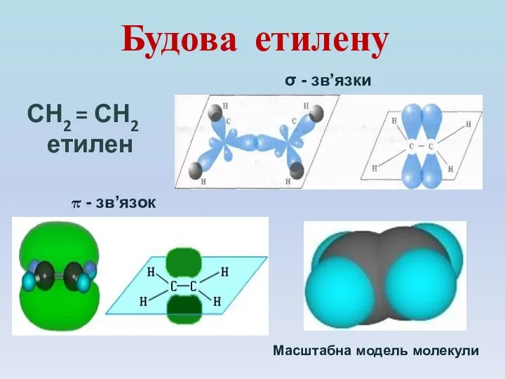 Будова етилену СН2 = СН2 етилен σ - зв’язки π - зв’язок Масштабна модель молекули