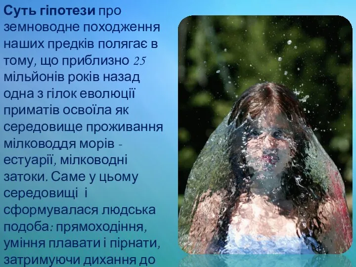 Суть гіпотези про земноводне походження наших предків полягає в тому, що