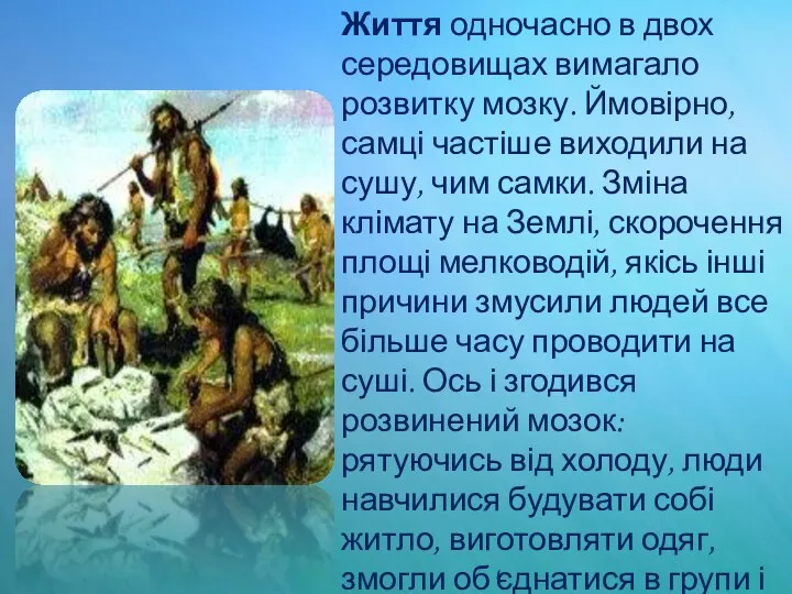 Життя одночасно в двох середовищах вимагало розвитку мозку. Ймовірно, самці частіше