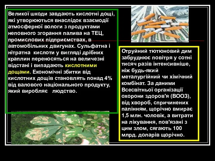 Отруйний тютюновий дим забруднює повітря у сотні тисяч разів інтенсивніше, ніж