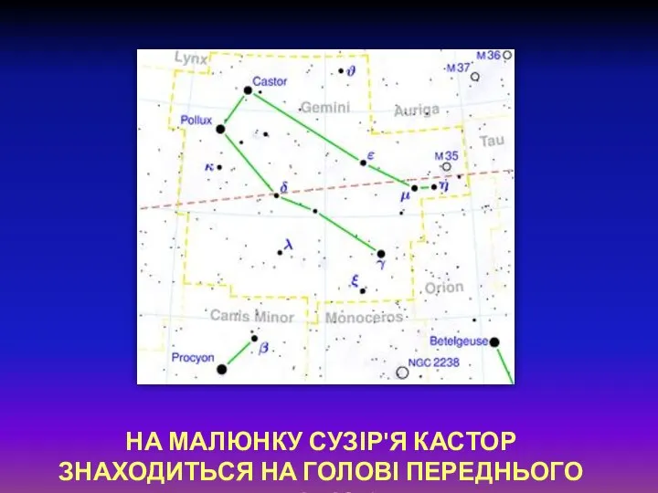 На малюнку сузір'я Кастор знаходиться на голові переднього Близнюка.