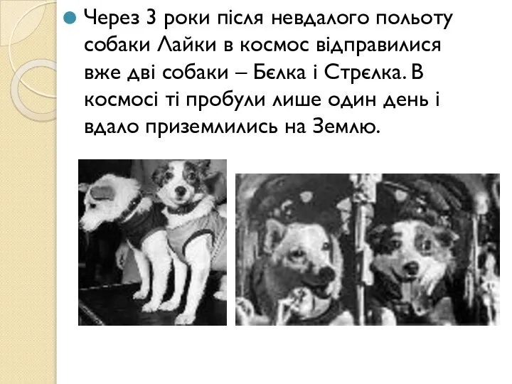 Через 3 роки після невдалого польоту собаки Лайки в космос відправилися