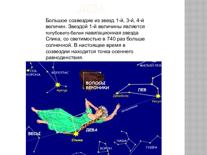 ДЕВА Большое созвездие из звезд 1-й, 3-й, 4-й величин. Звездой 1-й