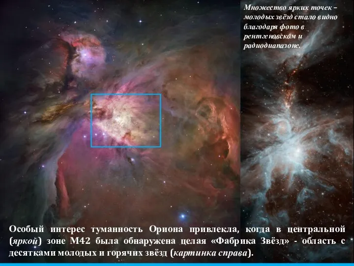 Особый интерес туманность Ориона привлекла, когда в центральной (яркой) зоне М42