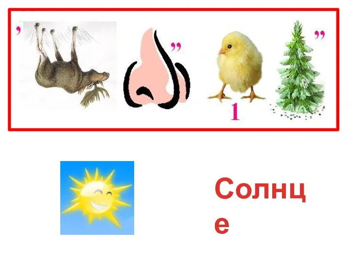 Солнце