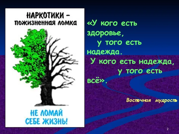 «У кого есть здоровье, у того есть надежда. У кого есть