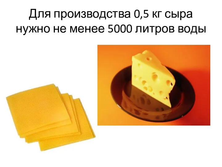 Для производства 0,5 кг сыра нужно не менее 5000 литров воды