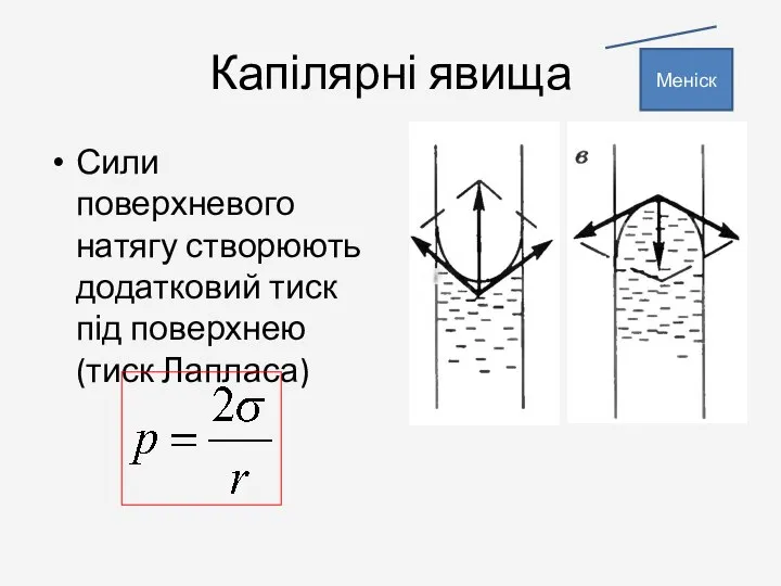 Капілярні явища Сили поверхневого натягу створюють додатковий тиск під поверхнею (тиск Лапласа) Меніск