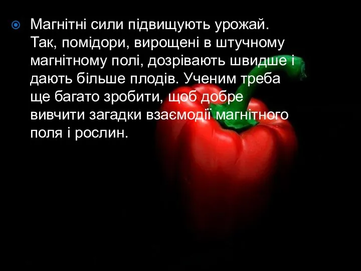 Магнітні сили підвищують урожай. Так, помідори, вирощені в штучному магнітному полі,