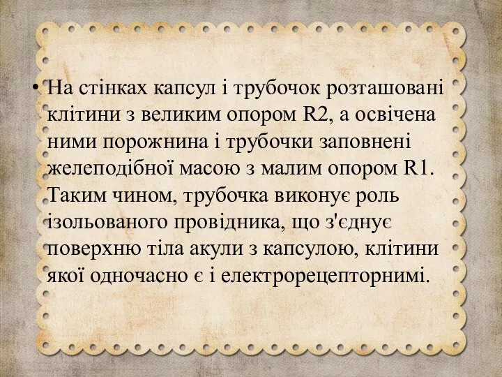 На стінках капсул і трубочок розташовані клітини з великим опором R2,