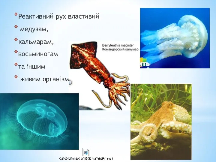 Реактивний рух властивий медузам, кальмарам, восьминогам та іншим живим організмам