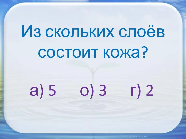 Из скольких слоёв состоит кожа? а) 5 о) 3 г) 2