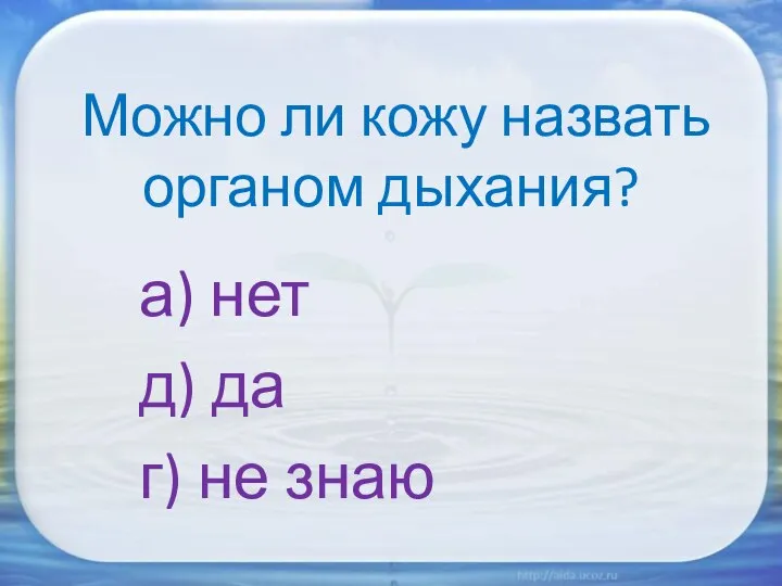 Можно ли кожу назвать органом дыхания? а) нет д) да г) не знаю