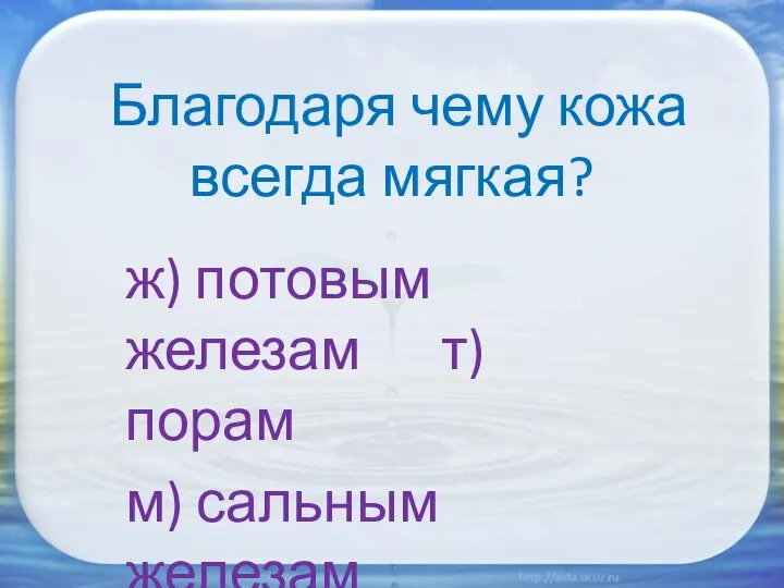 Благодаря чему кожа всегда мягкая? ж) потовым железам т) порам м) сальным железам