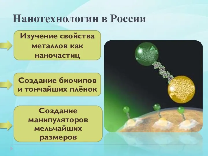 Нанотехнологии в России Изучение свойства металлов как наночастиц Создание биочипов и