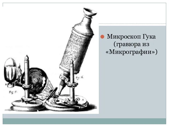 Микроскоп Гука (гравюра из «Микрографии»)