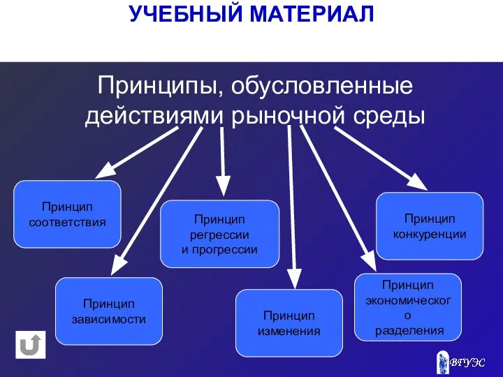 УЧЕБНЫЙ МАТЕРИАЛ Принципы, обусловленные действиями рыночной среды Принцип соответствия Принцип регрессии