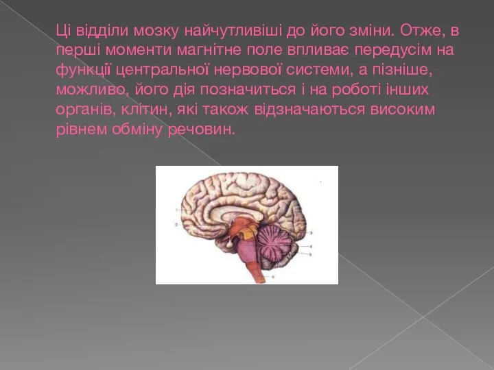 Ці відділи мозку найчутливіші до його зміни. Отже, в перші моменти