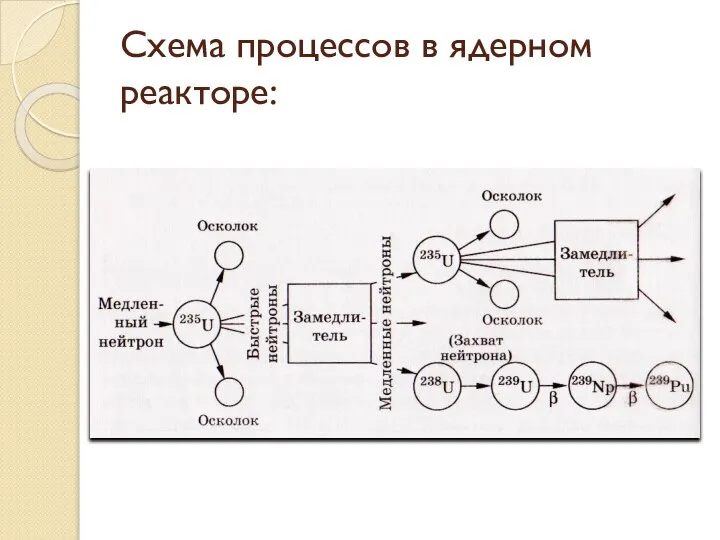 Схема процессов в ядерном реакторе: