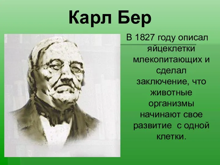 Карл Бер В 1827 году описал яйцеклетки млекопитающих и сделал заключение,