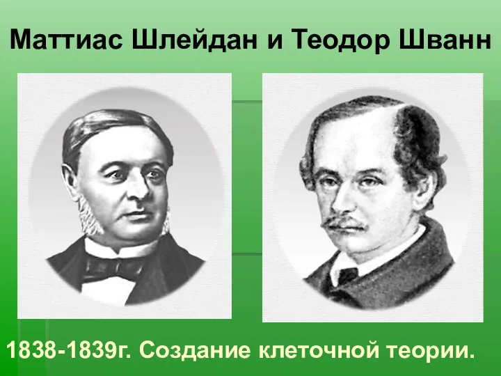 Маттиас Шлейдан и Теодор Шванн 1838-1839г. Создание клеточной теории.