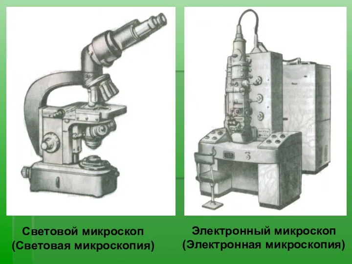 Световой микроскоп (Световая микроскопия) Электронный микроскоп (Электронная микроскопия)