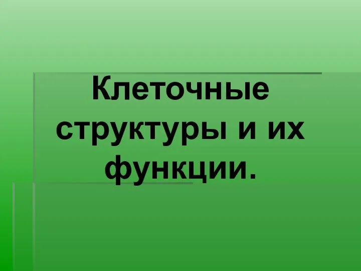 Клеточные структуры и их функции.