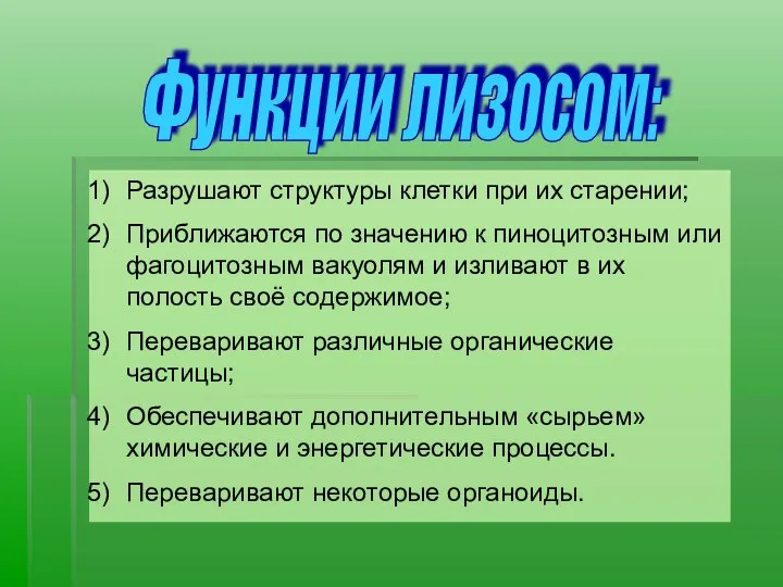 Функции лизосом: Разрушают структуры клетки при их старении; Приближаются по значению