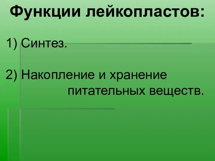 Функции лейкопластов: 1) Синтез. 2) Накопление и хранение питательных веществ.