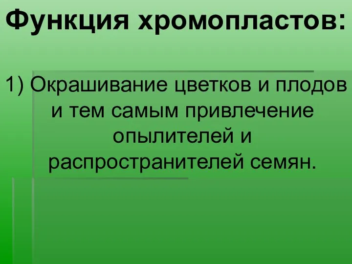 Функция хромопластов: 1) Окрашивание цветков и плодов и тем самым привлечение опылителей и распространителей семян.