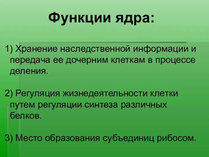 Функции ядра: 1) Хранение наследственной информации и передача ее дочерним клеткам