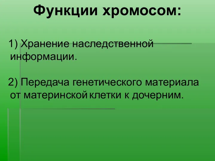 Функции хромосом: 1) Хранение наследственной информации. 2) Передача генетического материала от материнской клетки к дочерним.