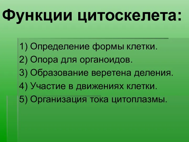 Функции цитоскелета: 1) Определение формы клетки. 2) Опора для органоидов. 3)