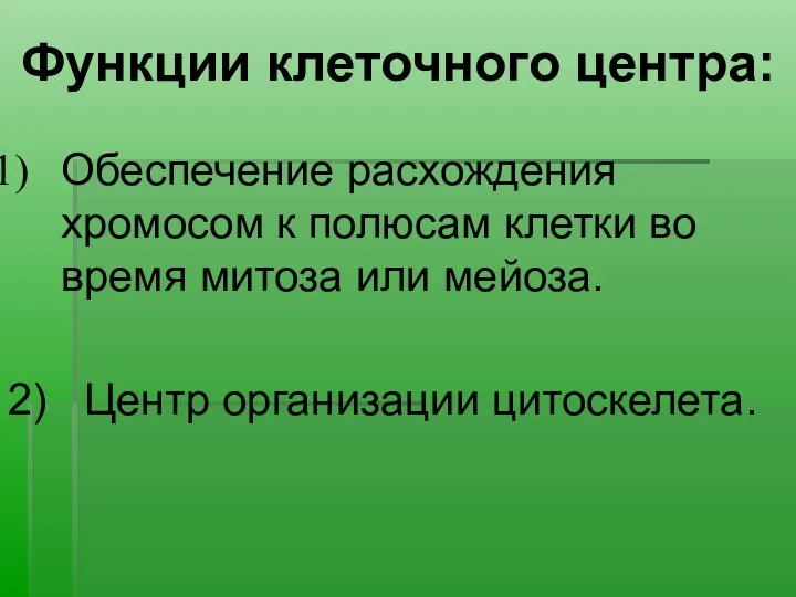 Функции клеточного центра: Обеспечение расхождения хромосом к полюсам клетки во время