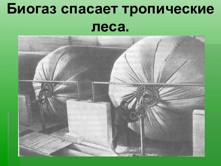 Биогаз спасает тропические леса.