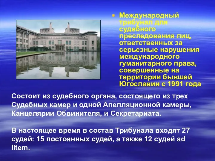 Международный трибунал для судебного преследования лиц, ответственных за серьезные нарушения международного