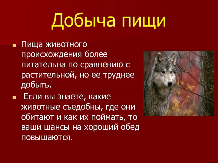 Добыча пищи Пища животного происхождения более питательна по сравнению с растительной,