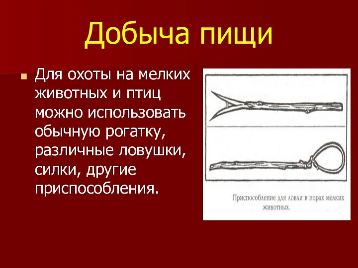 Добыча пищи Для охоты на мелких животных и птиц можно использовать