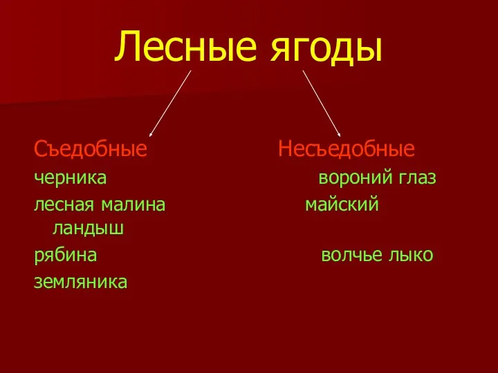 Лесные ягоды Съедобные Несъедобные черника вороний глаз лесная малина майский ландыш рябина волчье лыко земляника