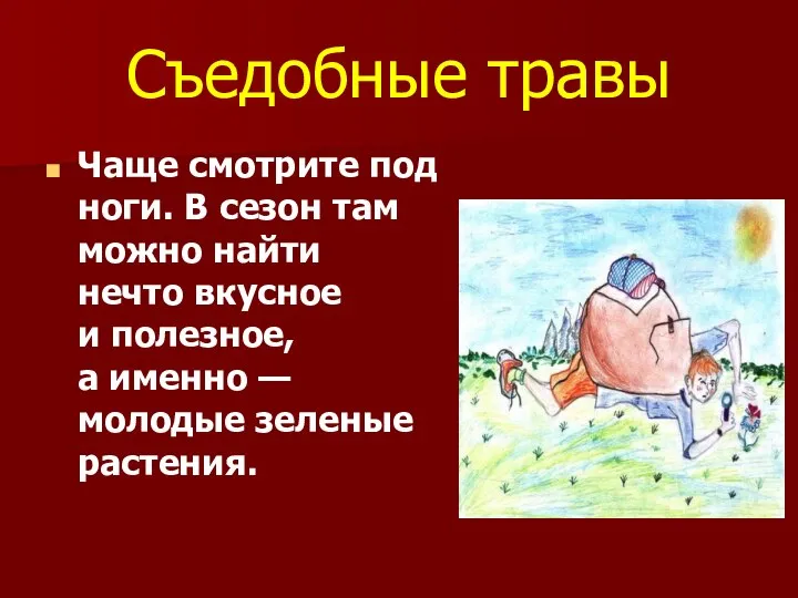 Съедобные травы Чаще смотрите под ноги. В сезон там можно найти