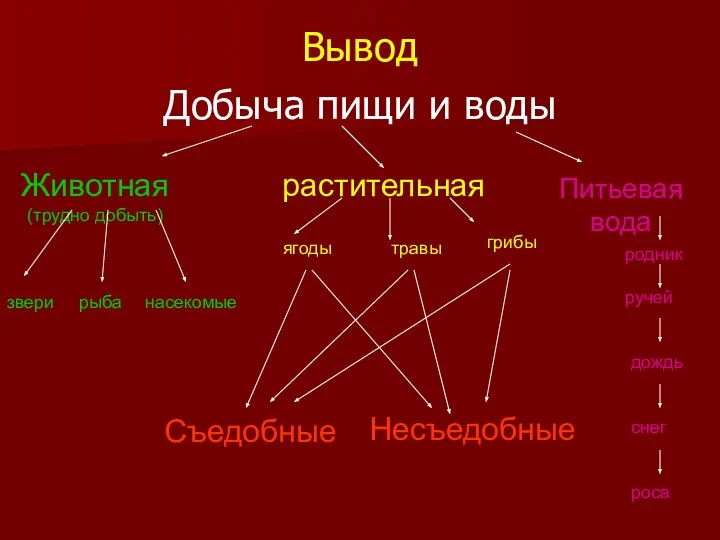 Вывод Добыча пищи и воды Животная (трудно добыть) растительная Питьевая вода