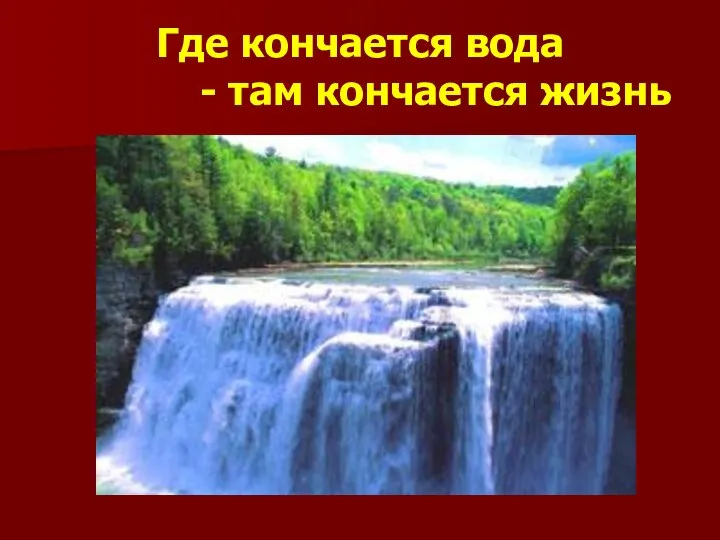 Где кончается вода - там кончается жизнь