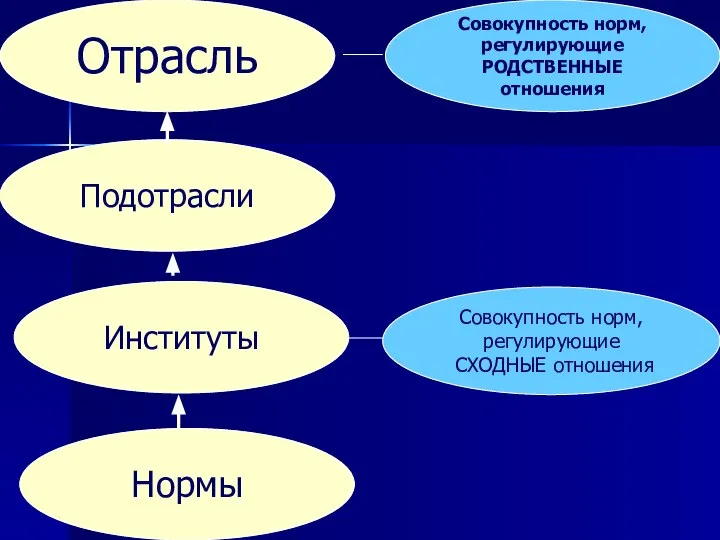 Нормы Институты Подотрасли Отрасль Совокупность норм, регулирующие СХОДНЫЕ отношения Совокупность норм, регулирующие РОДСТВЕННЫЕ отношения