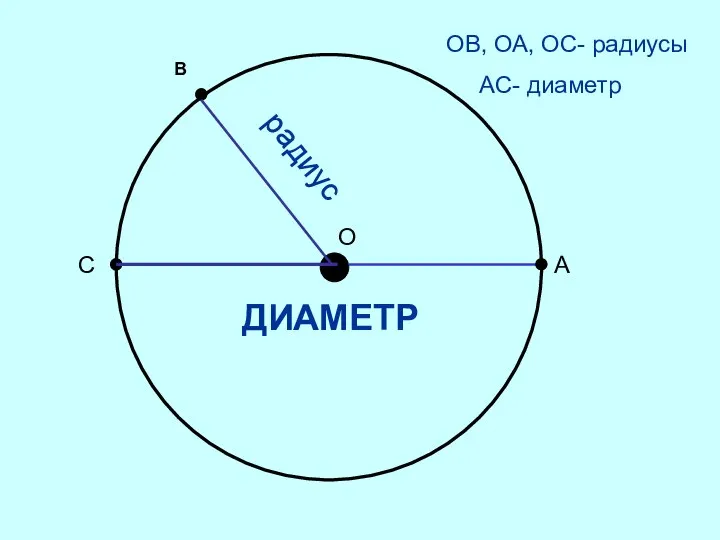 О А ОВ, ОА, ОС- радиусы АС- диаметр радиус С В ДИАМЕТР