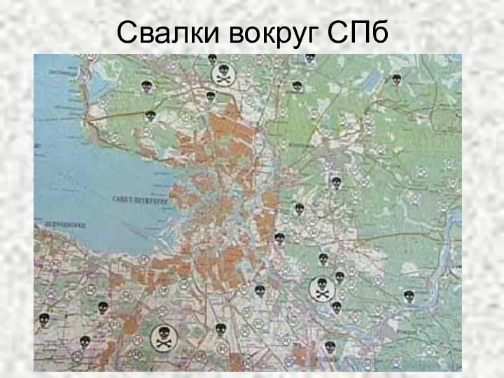 Свалки вокруг СПб