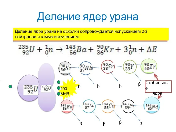 Деление ядер урана Деление ядра урана на осколки сопровождается испусканием 2-3 нейтронов и гамма излучением