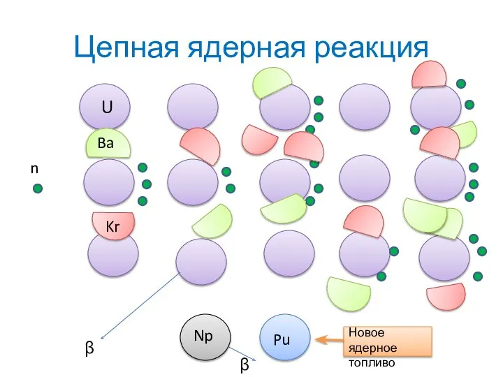 Цепная ядерная реакция U n