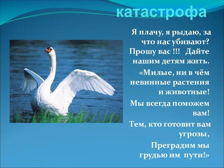 Экологическая катастрофа Я плачу, я рыдаю, за что нас убивают? Прошу