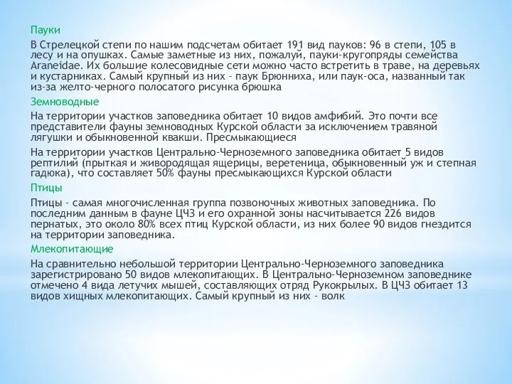 Пауки В Стрелецкой степи по нашим подсчетам обитает 191 вид пауков: