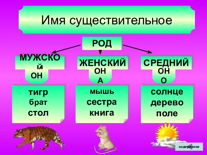 Имя существительное РОД МУЖСКОЙ ЖЕНСКИЙ СРЕДНИЙ ОН ОНА ОНО тигр брат